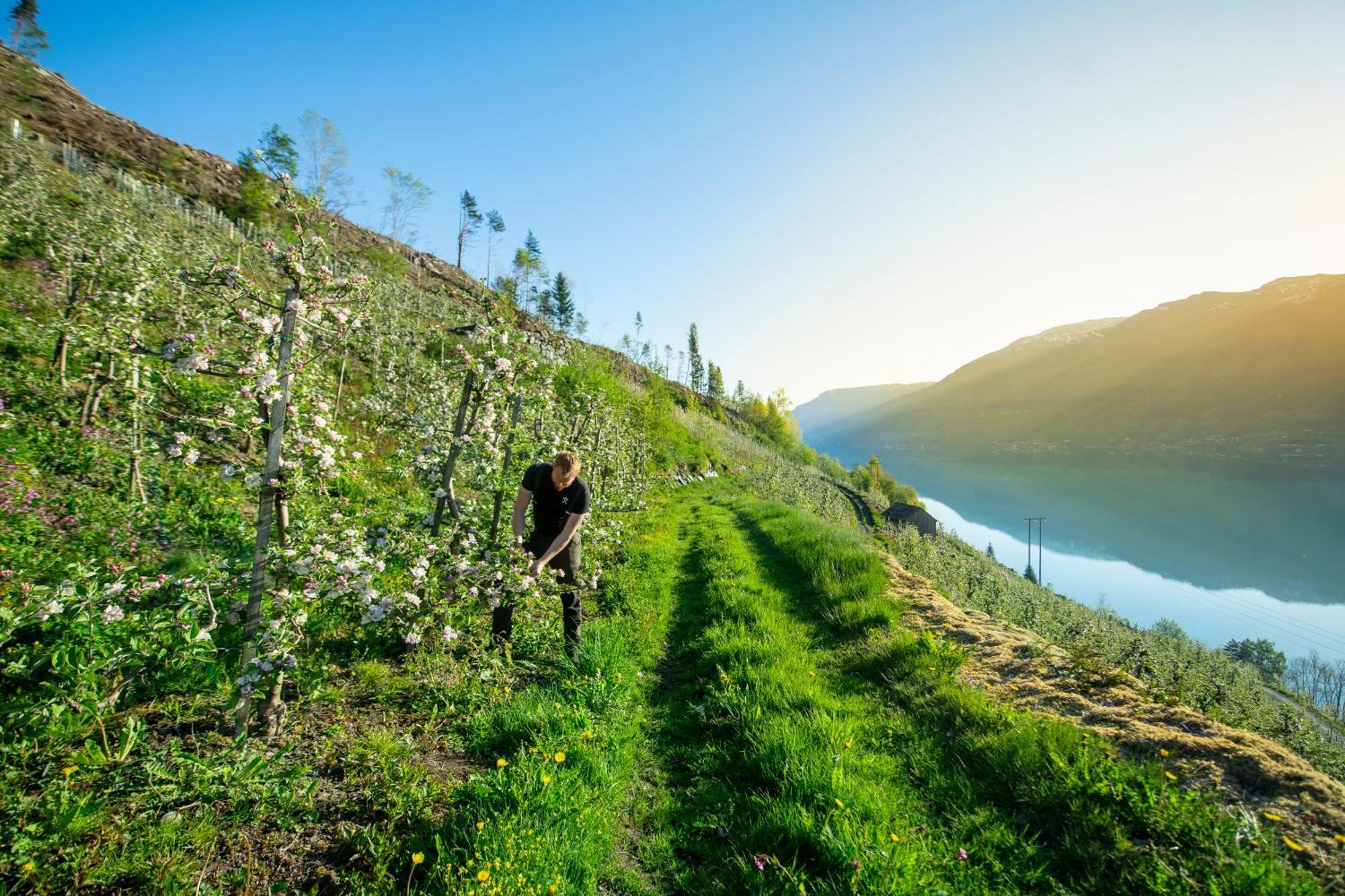 Odda Atmosphere Exterior photo